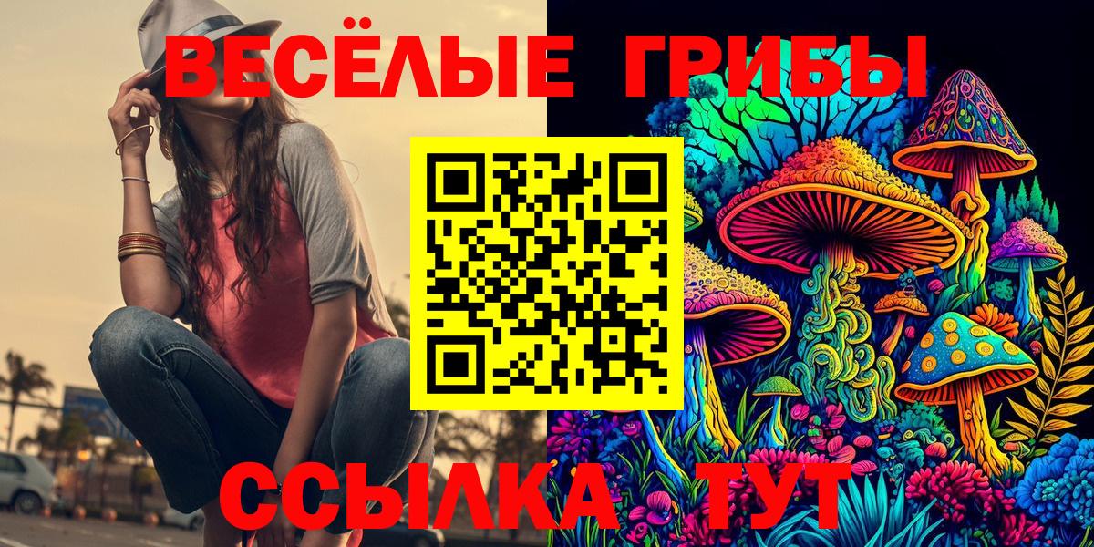 Псилоцибиновые грибы прущие грибы  Галлюциногенные грибы ЛСД  Вход с VPN  Унеча 